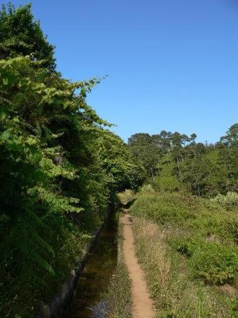 Colina Da Faja Villa Fajã da Ovelha Esterno foto